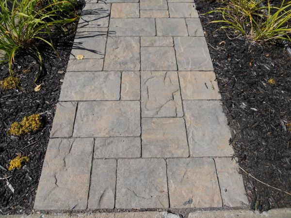 Stamped Concrete Staining in Snohomish